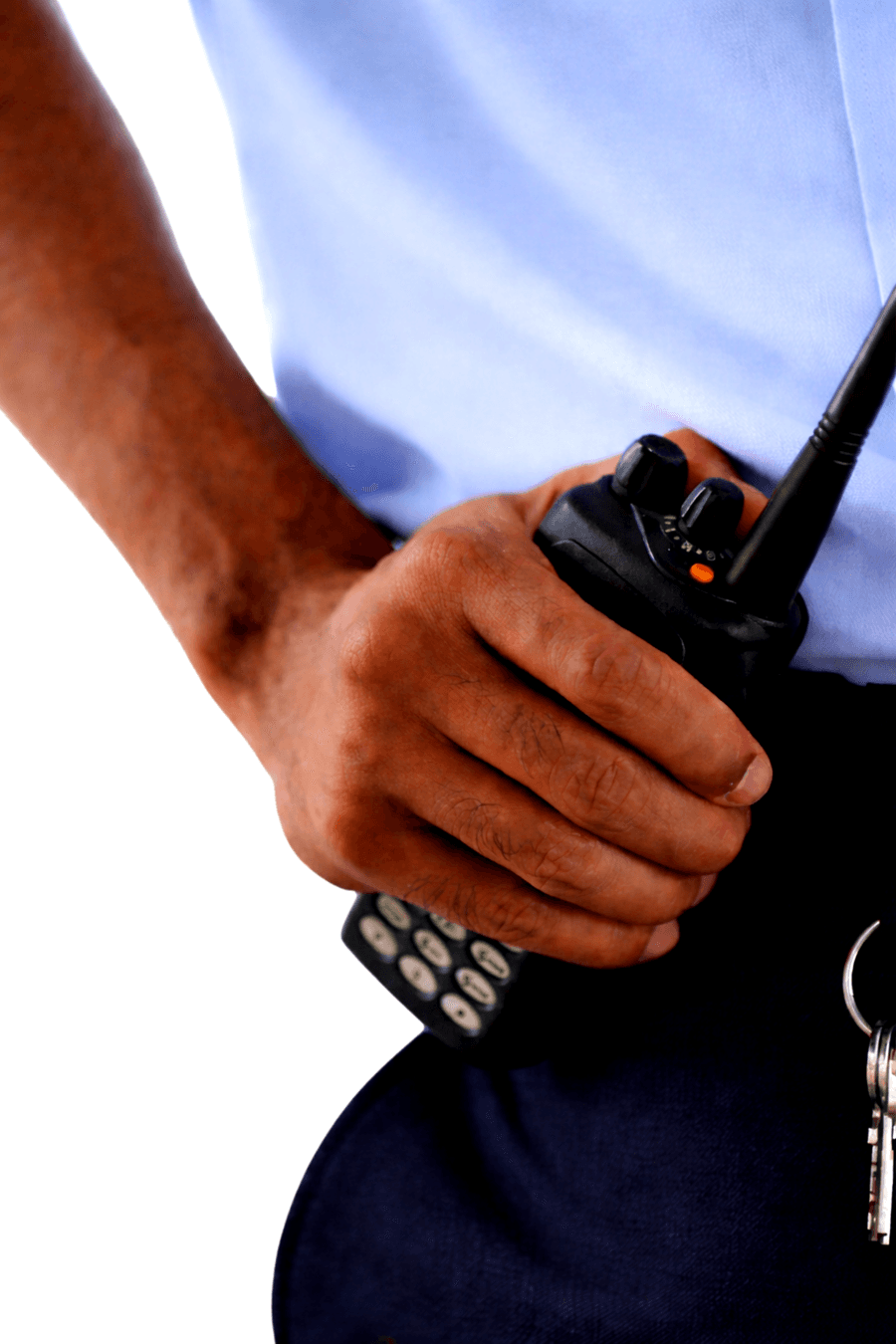 GERT Seguridad
