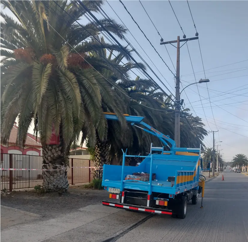 Servicios Integrales